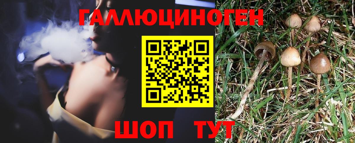 Тольятти  Псилоцибиновые грибы Psilocybe  Галлюциногенные грибы MAGIC MUSHROOMS  Вход с VPN 